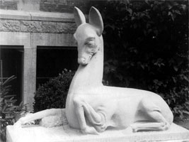 biche.jpg