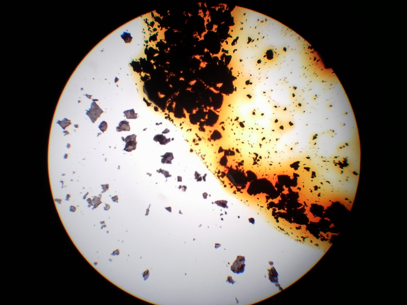 bio03.jpg